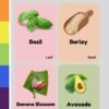Vegetable Basket Flash Cards