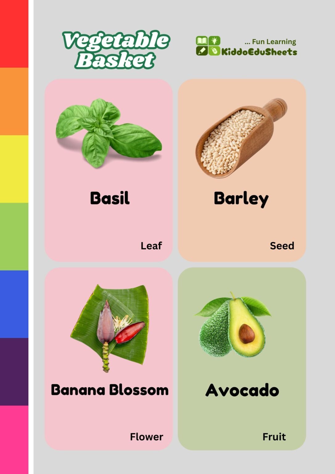 Vegetable Basket Flash Cards for Kids | Early Learning Tool